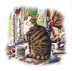 Gatto 14